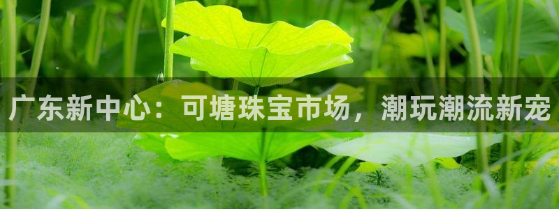天宏娱乐集团董事长