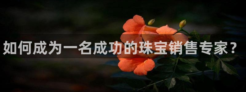 天宏娱乐曳59909：如何成为一名成功的珠宝销售专家？