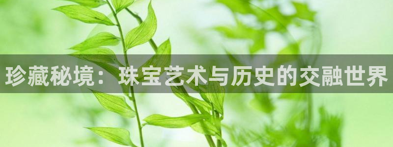 天宏娱乐·b主管管32937：珍藏秘境：珠宝艺术与历史的交融