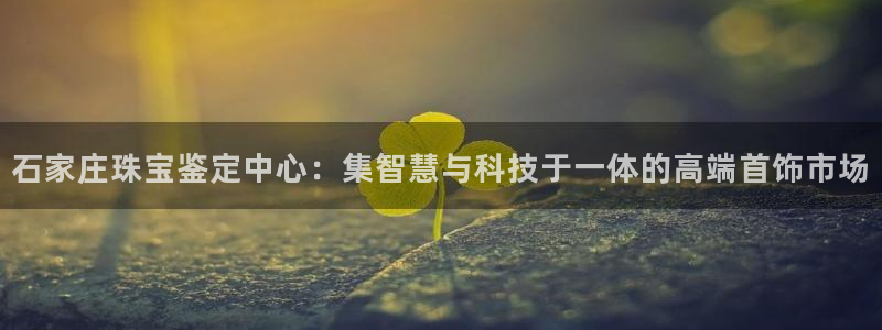 天宏娱乐梁善良