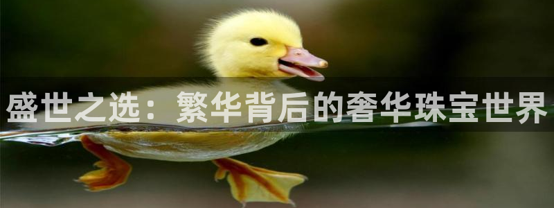 河源市天宏娱乐