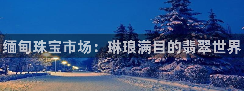 天宏娱乐张叔