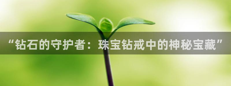 天宏娱乐小号官网入口：“钻石的守护者：珠宝钻戒中的神秘宝藏”