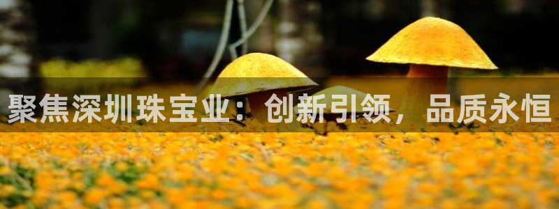 天宏2娱乐平台：聚焦深圳珠宝业：创新引领，品质永恒