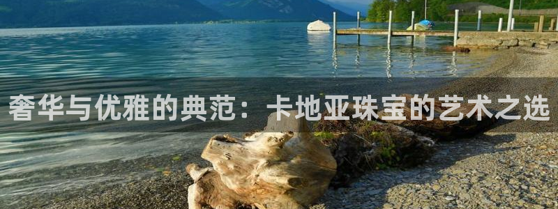 天宏娱乐学：奢华与优雅的典范：卡地亚珠宝的艺术之选