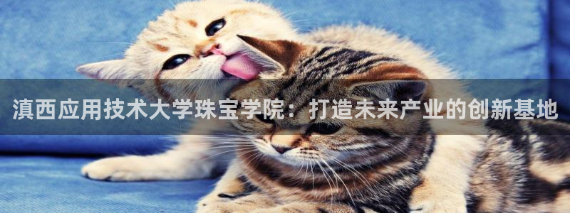 天亿娱乐宏发：滇西应用技术大学珠宝学院：打造未来产业的创新基
