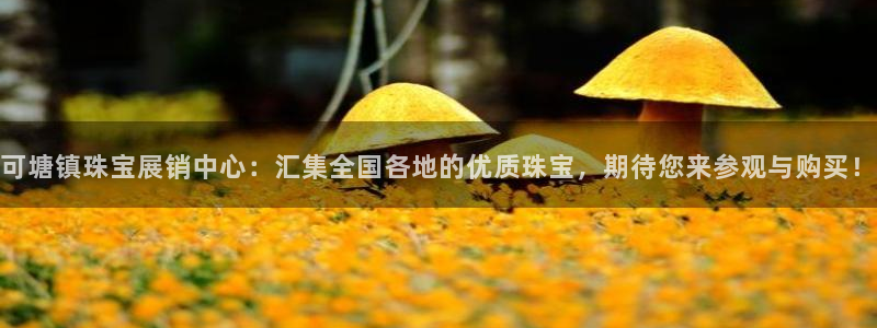 宏天广场娱乐会所地址