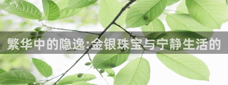 天宏娱乐关叔