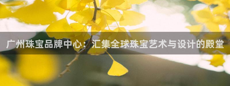 天宏娱乐金叔