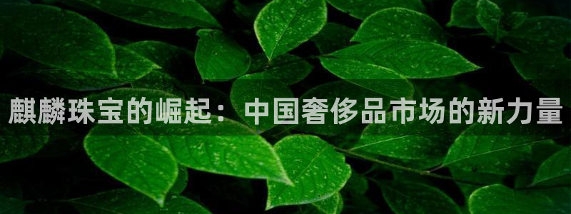 天宏娱乐二台