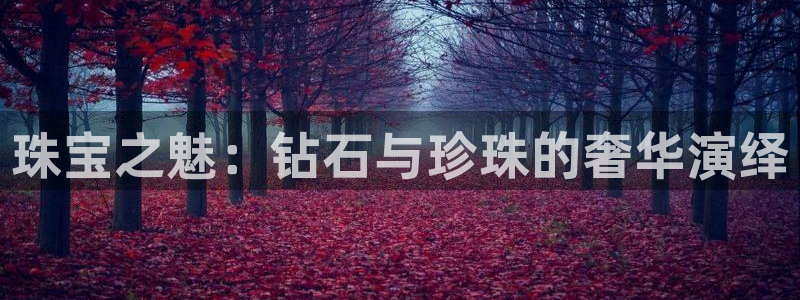 天宏娱乐团购