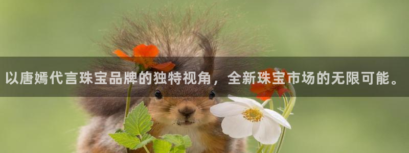 天宏娱乐平叔