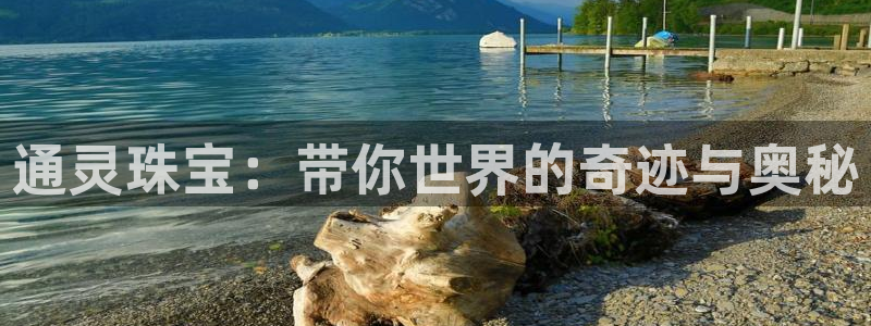 天宏娱乐招商