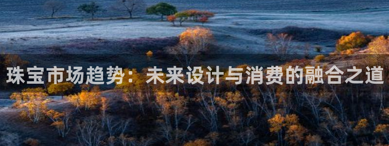 天宏娱乐丁叔