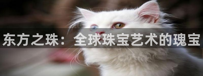 天宏娱乐团购