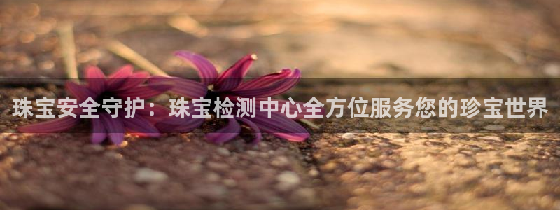 天宏娱乐金叔