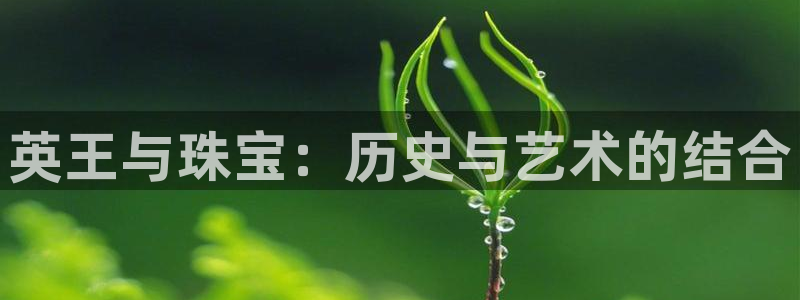 天宏娱乐q34189