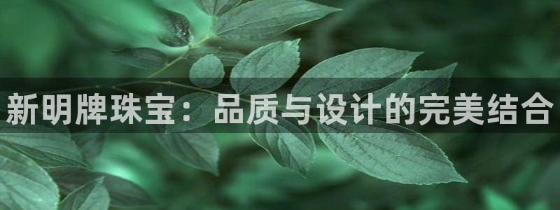 天宏娱乐平台