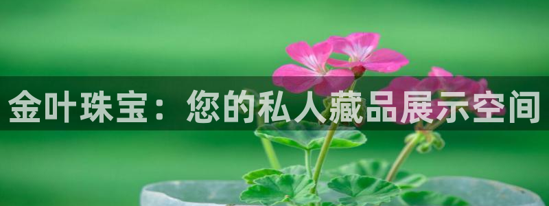 天宏娱乐石叔