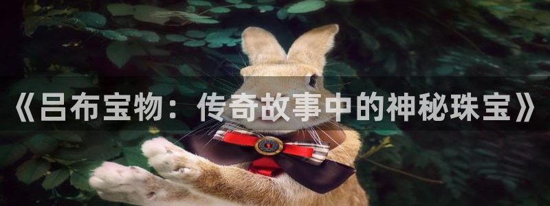 天宏娱乐涛叔