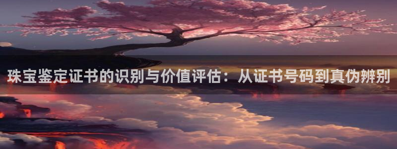 天宏娱乐男神