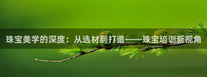 西安天宏娱乐会所电话：珠宝美学的深度：从选材到打造——珠宝培