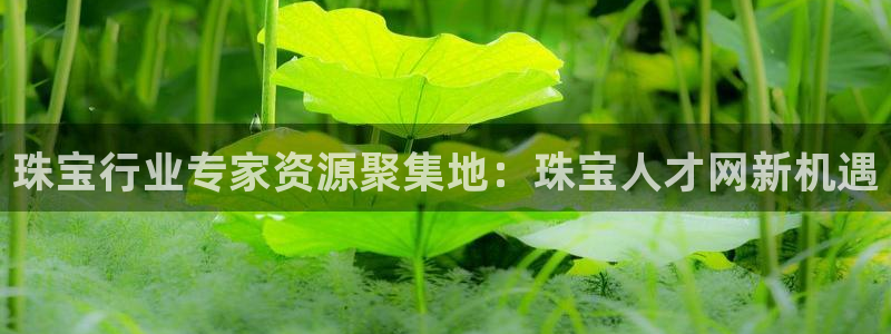 天宏娱乐二台