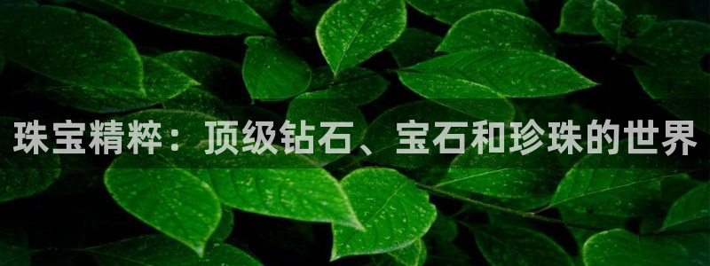 天宏娱乐h 判官：珠宝精粹：顶级钻石、宝石和珍珠的世界
