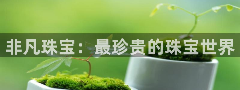 天宏娱乐是干嘛的啊：非凡珠宝：最珍贵的珠宝世界